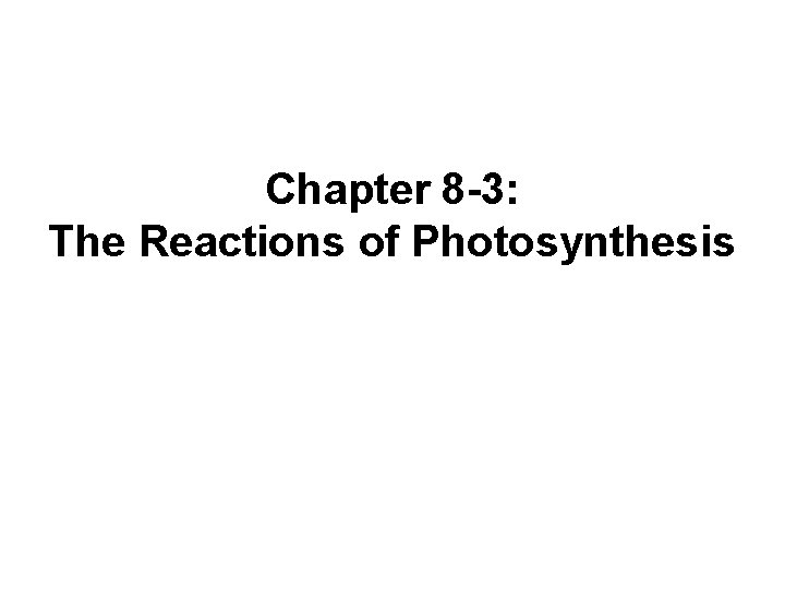 Chapter 8 -3: The Reactions of Photosynthesis 