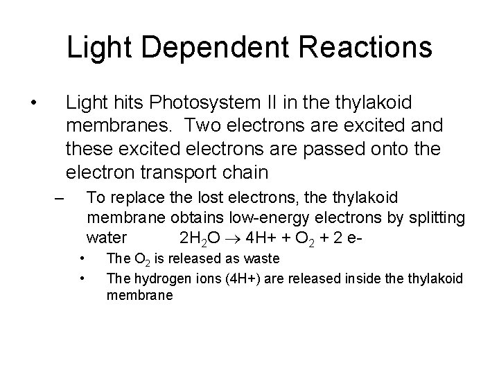 Light Dependent Reactions • Light hits Photosystem II in the thylakoid membranes. Two electrons