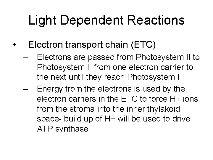 Light Dependent Reactions • Electron transport chain (ETC) – – Electrons are passed from