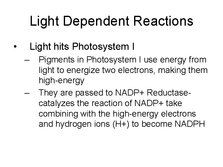 Light Dependent Reactions • Light hits Photosystem I – – Pigments in Photosystem I