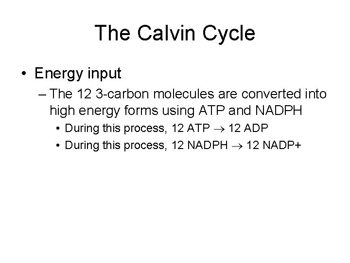 The Calvin Cycle • Energy input – The 12 3 -carbon molecules are converted