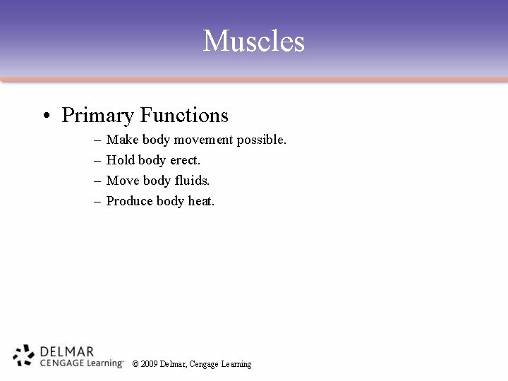 Muscles • Primary Functions – – Make body movement possible. Hold body erect. Move