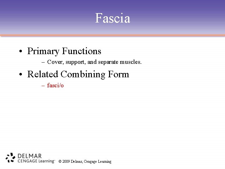 Fascia • Primary Functions – Cover, support, and separate muscles. • Related Combining Form