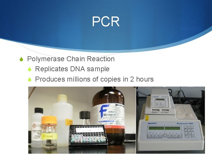 PCR S Polymerase Chain Reaction S Replicates DNA sample S Produces millions of copies