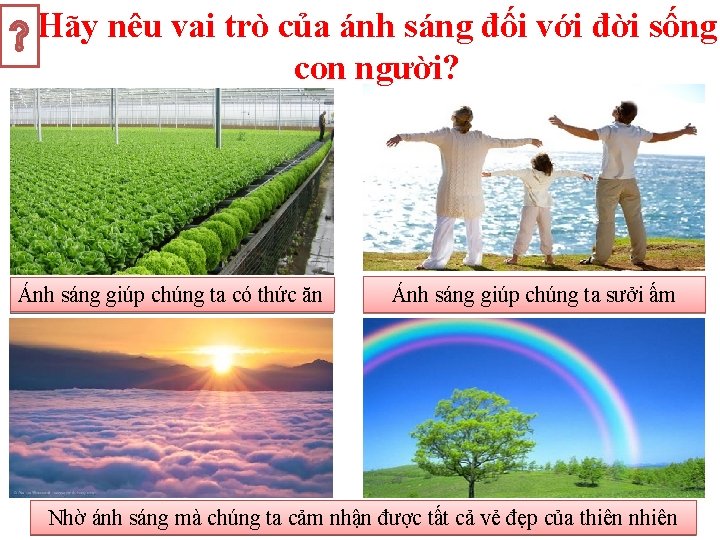 Hãy nêu vai trò của ánh sáng đối với đời sống con người? Ánh