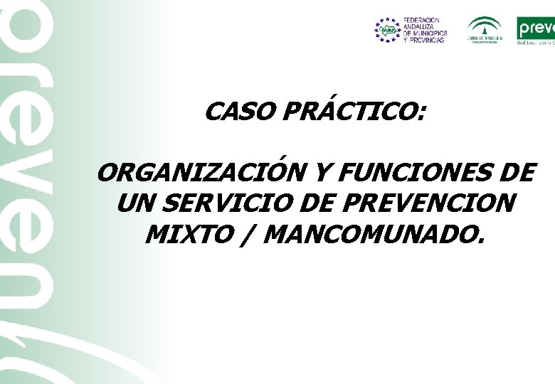 CASO PRÁCTICO: ORGANIZACIÓN Y FUNCIONES DE UN SERVICIO DE PREVENCION MIXTO / MANCOMUNADO. 