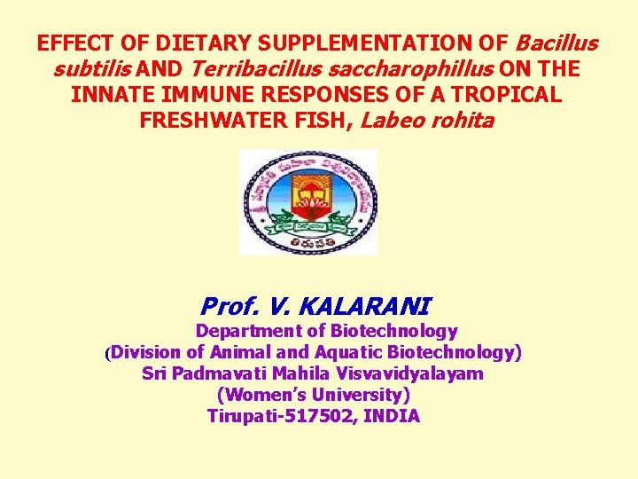 EFFECT OF DIETARY SUPPLEMENTATION OF Bacillus subtilis AND Terribacillus saccharophillus ON THE INNATE IMMUNE