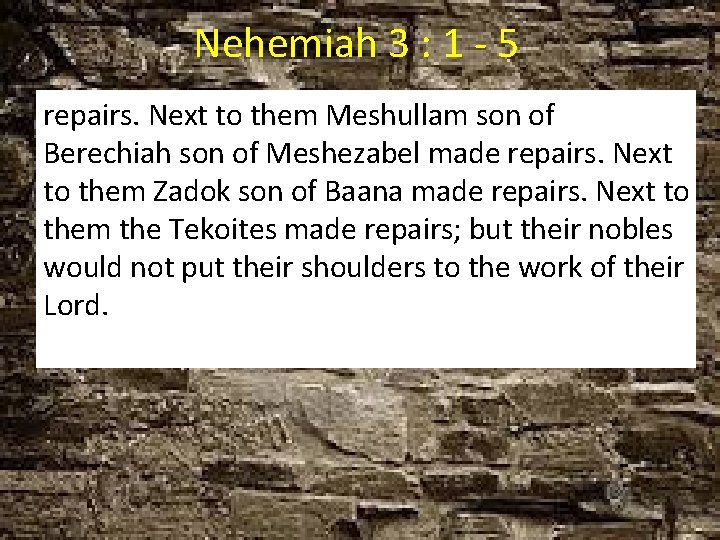 Nehemiah 3 : 1 - 5 repairs. Next to them Meshullam son of Berechiah