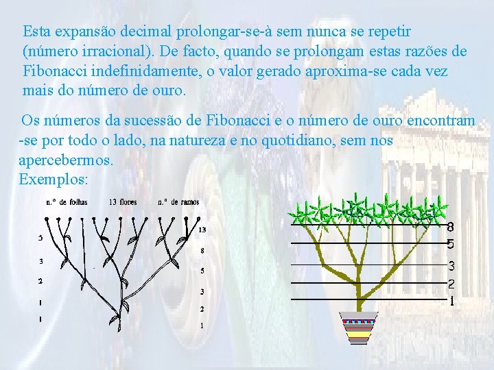 Esta expansão decimal prolongar-se-à sem nunca se repetir (número irracional). De facto, quando se