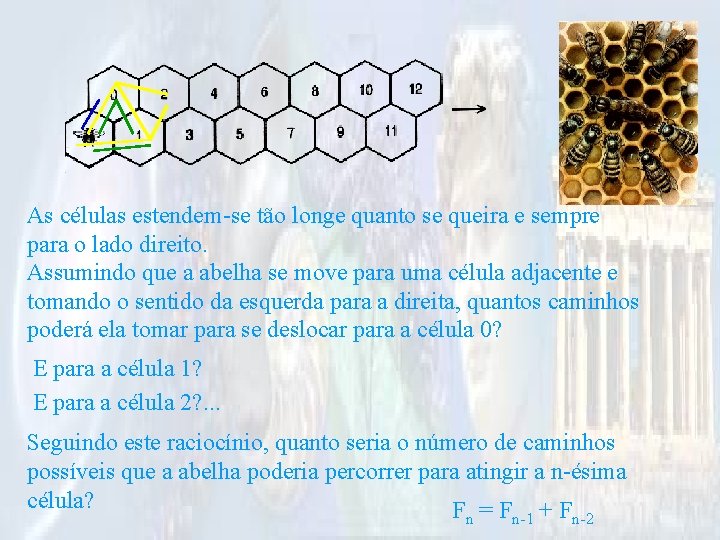 As células estendem-se tão longe quanto se queira e sempre para o lado direito.