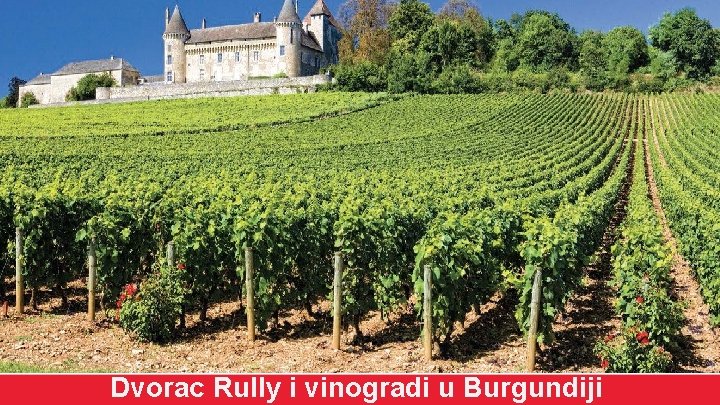 Dvorac Rully i vinogradi u Burgundiji 