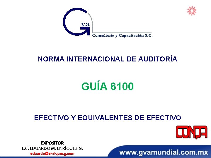 NORMA INTERNACIONAL DE AUDITORÍA GUÍA 6100 EFECTIVO Y EQUIVALENTES DE EFECTIVO EXPOSITOR L. C.