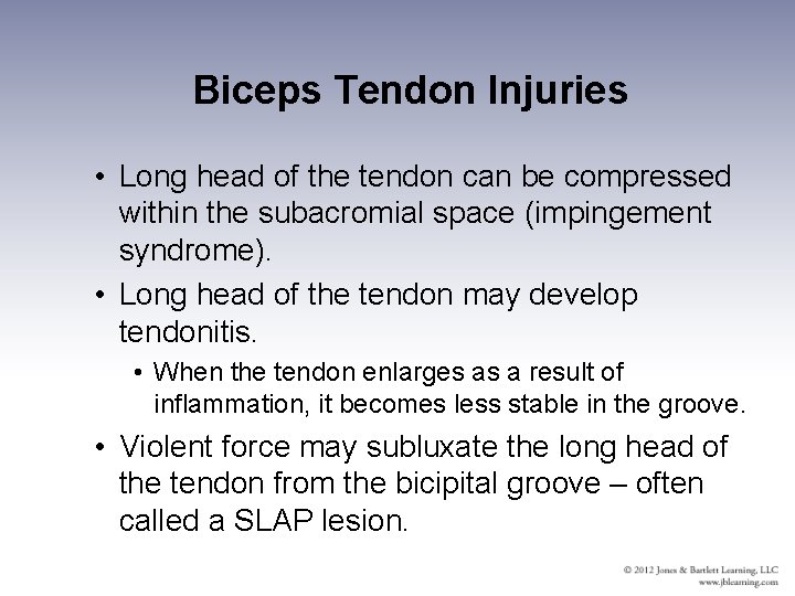 Biceps Tendon Injuries • Long head of the tendon can be compressed within the