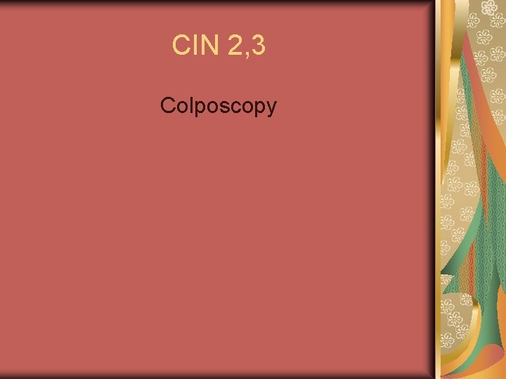 CIN 2, 3 Colposcopy 