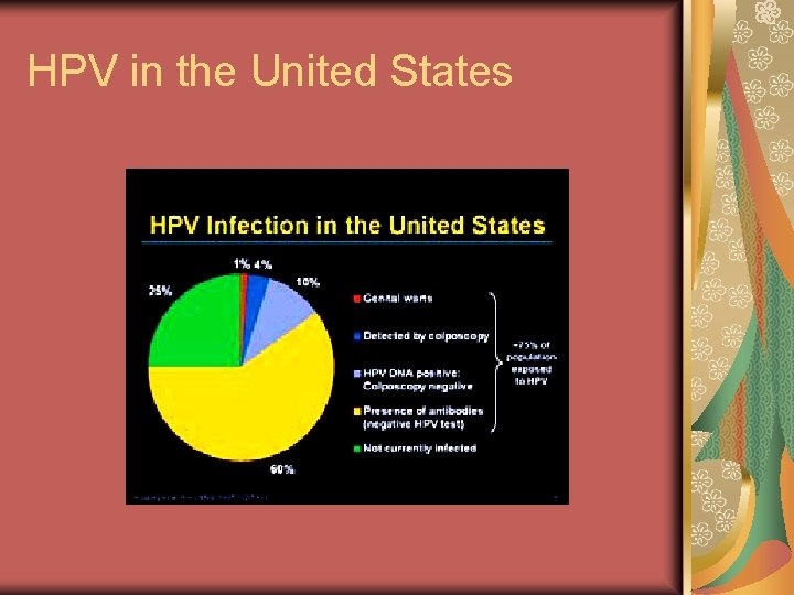 HPV in the United States 