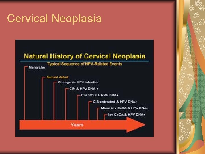 Cervical Neoplasia 