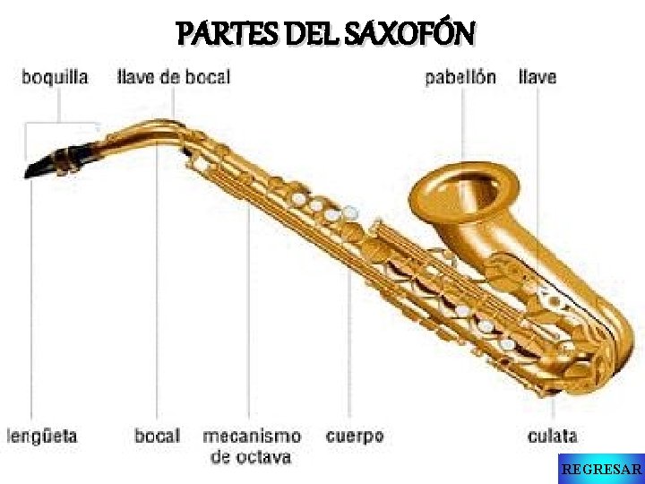 PARTES DEL SAXOFÓN REGRESAR 