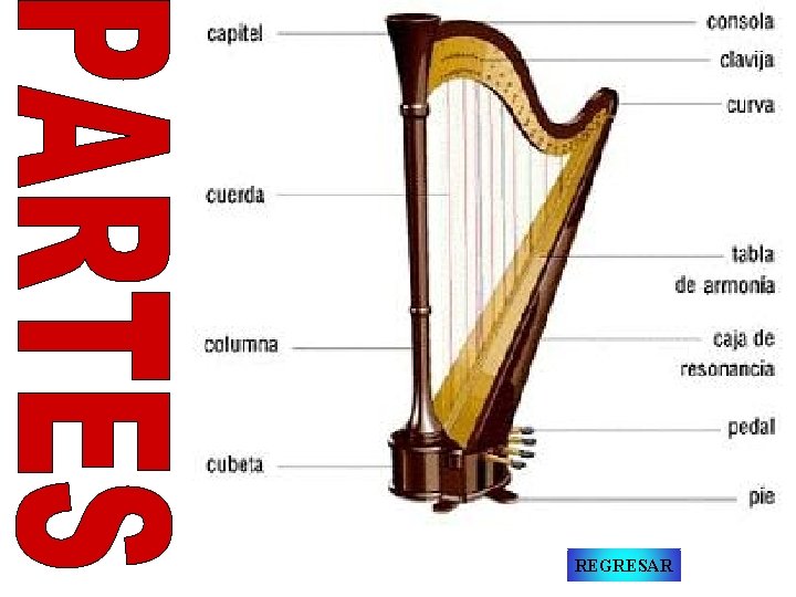 REGRESAR 