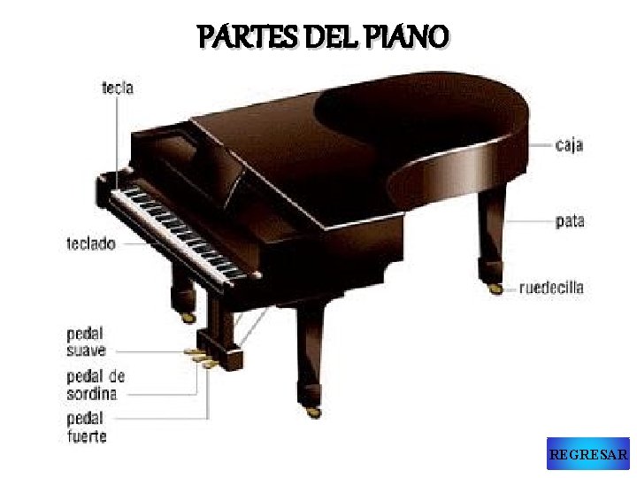 PARTES DEL PIANO REGRESAR 