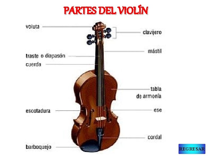 PARTES DEL VIOLÍN REGRESAR 