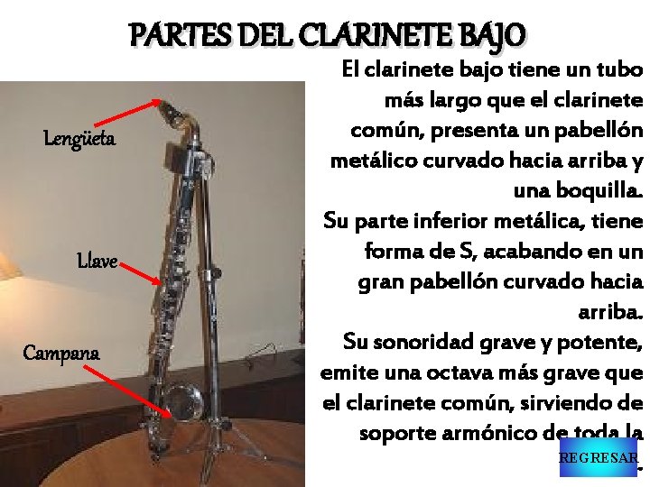 PARTES DEL CLARINETE BAJO Lengüeta Llave Campana El clarinete bajo tiene un tubo más