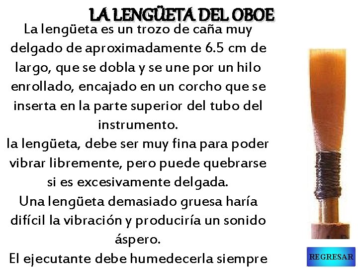LA LENGÜETA DEL OBOE La lengüeta es un trozo de caña muy delgado de
