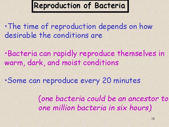 Reproduction of Bacteria • The time of reproduction depends on how desirable the conditions