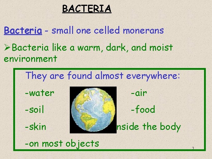 BACTERIA Bacteria - small one celled monerans ØBacteria like a warm, dark, and moist
