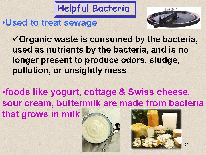 Helpful Bacteria • Used to treat sewage üOrganic waste is consumed by the bacteria,