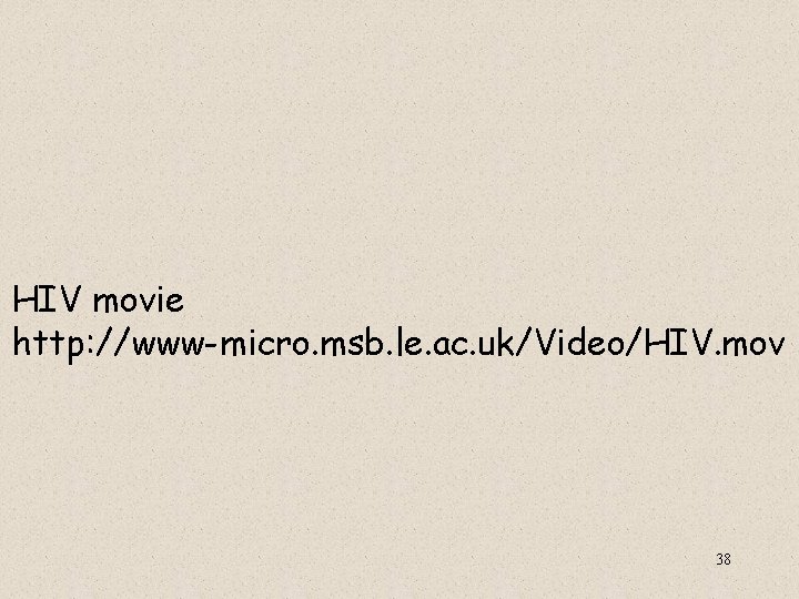 HIV movie http: //www-micro. msb. le. ac. uk/Video/HIV. mov 38 