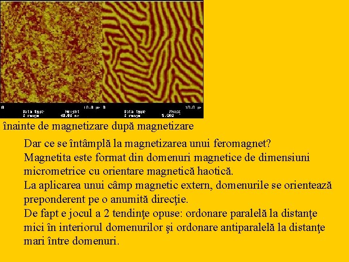 înainte de magnetizare după magnetizare Dar ce se întâmplă la magnetizarea unui feromagnet? Magnetita