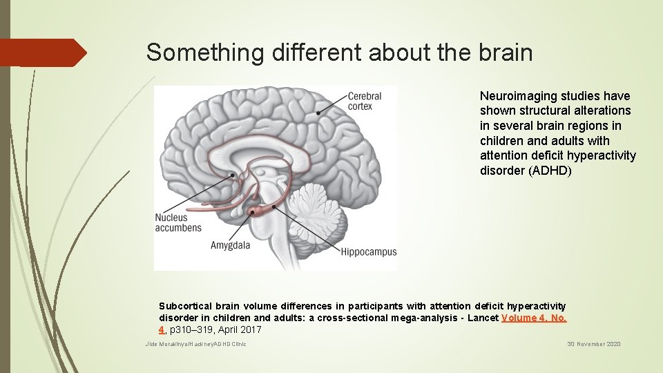 Something different about the brain Neuroimaging studies have shown structural alterations in several brain