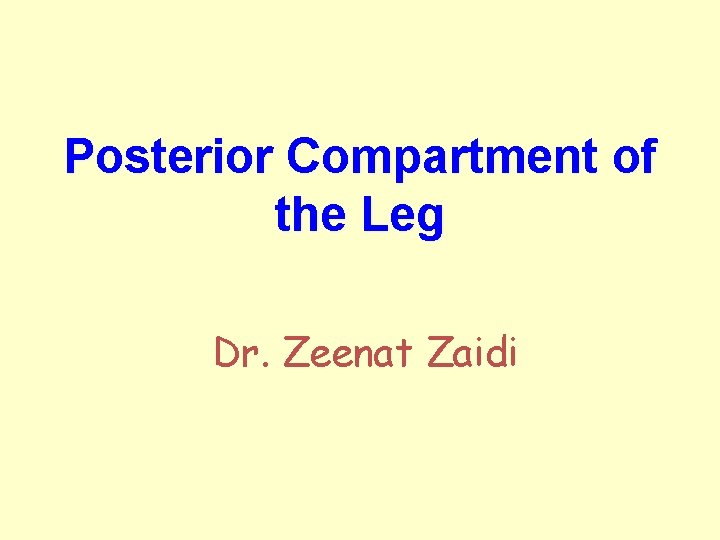 Posterior Compartment of the Leg Dr. Zeenat Zaidi 