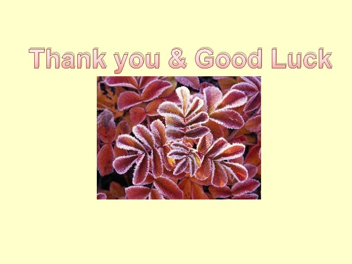 Thank you & Good Luck 