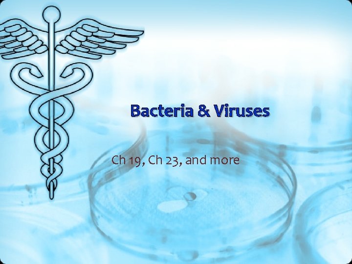 Bacteria & Viruses Ch 19, Ch 23, and more 