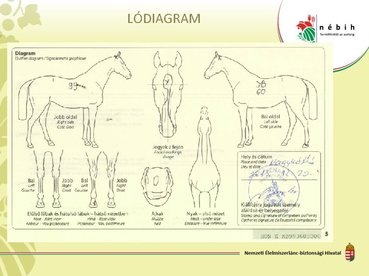 LÓDIAGRAM 