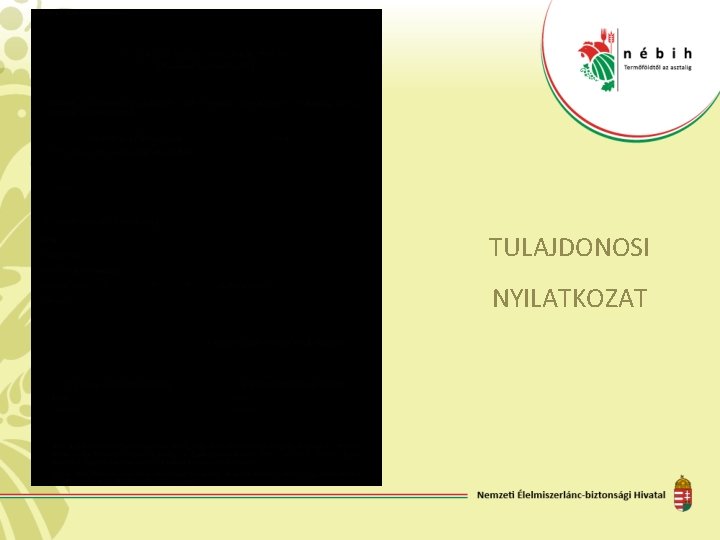 TULAJDONOSI NYILATKOZAT 