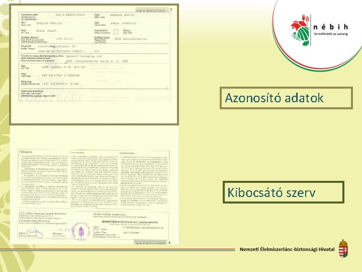 Azonosító adatok Kibocsátó szerv 