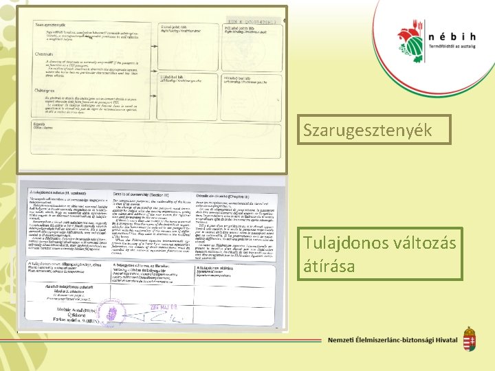 Szarugesztenyék Tulajdonosi adatok Tulajdonos változás átírása 