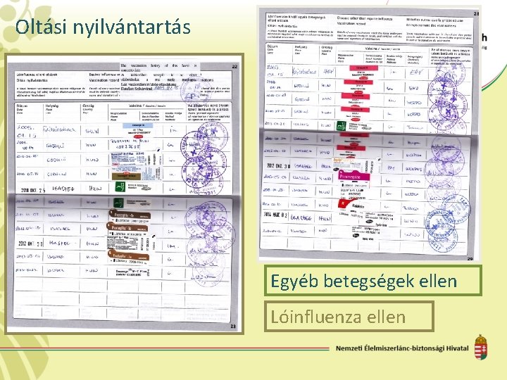 Oltási nyilvántartás Egyéb betegségek ellen Lóinfluenza ellen 