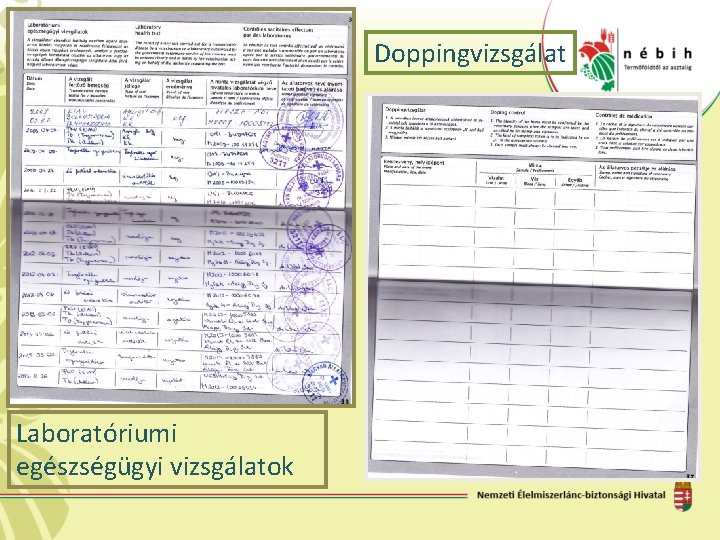 Doppingvizsgálat Laboratóriumi egészségügyi vizsgálatok 