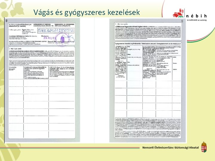 Vágás és gyógyszeres kezelések 