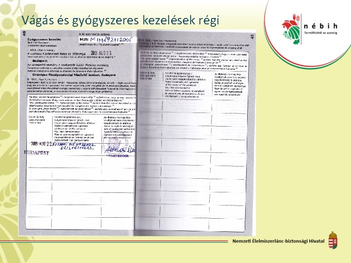 Vágás és gyógyszeres kezelések régi 