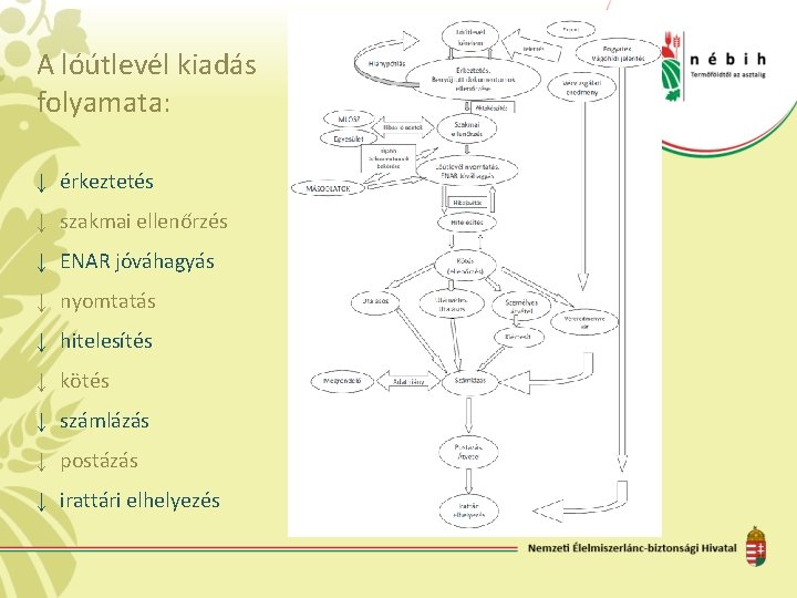 A lóútlevél kiadás folyamata: ↓ érkeztetés ↓ szakmai ellenőrzés ↓ ENAR jóváhagyás ↓ nyomtatás