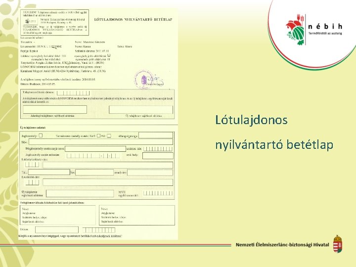 Lótulajdonos nyilvántartó betétlap 