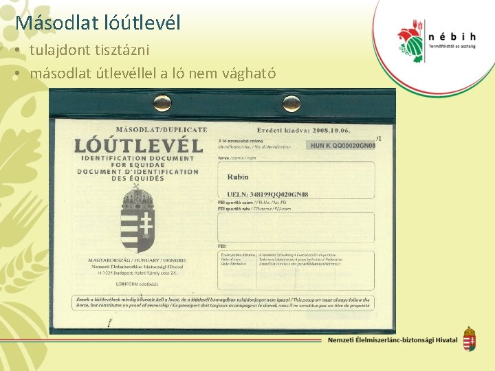 Másodlat lóútlevél • tulajdont tisztázni • másodlat útlevéllel a ló nem vágható 