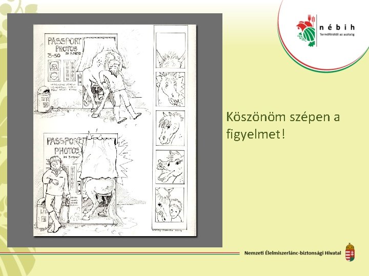Köszönöm szépen a figyelmet! 