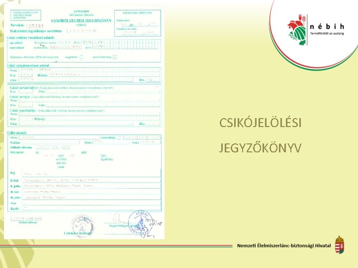 CSIKÓJELÖLÉSI JEGYZŐKÖNYV 