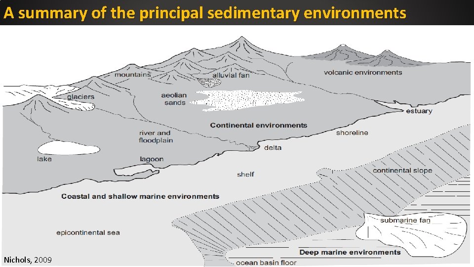 A summary of the principal sedimentary environments Nichols, 2009 