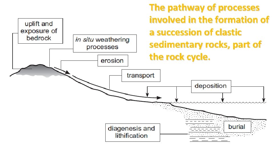 The pathway of processes involved in the formation of a succession of clastic sedimentary